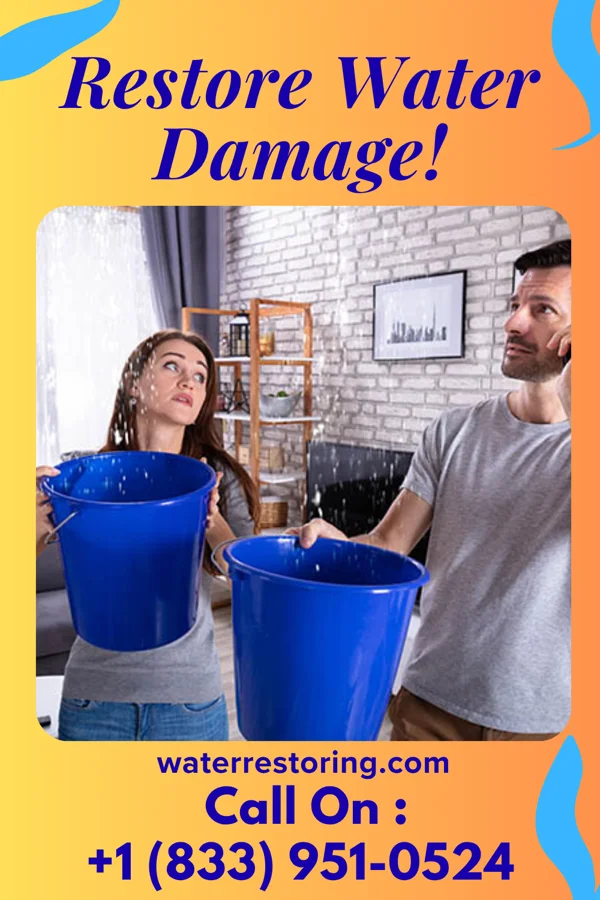 water restoration Expert Disaster Recovery LLC Bouton